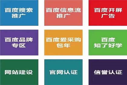 网络推广中的竞价广告：成功案例解析
